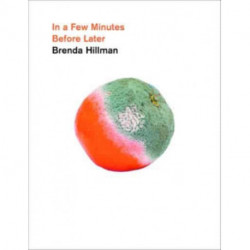 In a Few Minutes Before Later