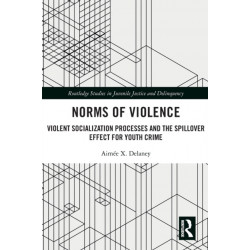 Norms of Violence: Violent Socialization Processes and the Spillover Effect for Youth Crime