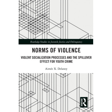 Norms of Violence: Violent Socialization Processes and the Spillover Effect for Youth Crime