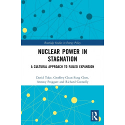 Nuclear Power in Stagnation: A Cultural Approach to Failed Expansion