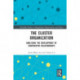 The Cluster Organization: Analyzing the Development of Cooperative Relationships