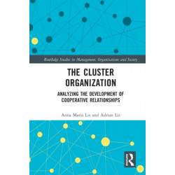 The Cluster Organization: Analyzing the Development of Cooperative Relationships