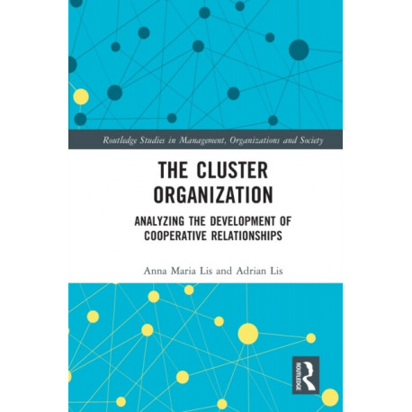 The Cluster Organization: Analyzing the Development of Cooperative Relationships