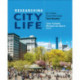 Researching City Life: An Urban Field Methods Text Reader