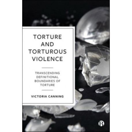 Torture and Torturous Violence: Transcending Definitions of Torture