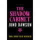 The Shadow Cabinet