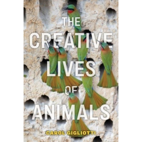 The Creative Lives of Animals