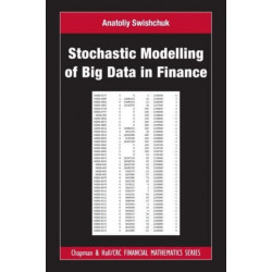 Stochastic Modelling of Big Data in Finance