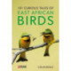 101 Curious Tales of East African Birds: A Brief Introduction to Tropical Ornithology