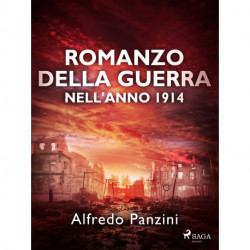 Romanzo della guerra nell'anno 1914