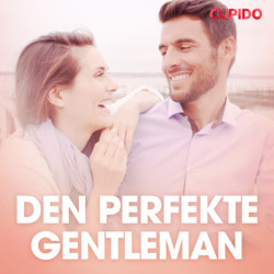 Den perfekte gentleman – erotisk novelle