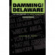 Damming the Delaware: The Rise and Fall of Tocks Island Dam