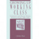 Growing Up Working Class: Continuity and Change Among Viennese Youth, 1890–1938