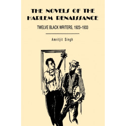The Novels of the Harlem Renaissance: Twelve Black Writers, 1923–1933