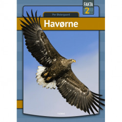 Havørne
