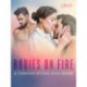 Bodies on Fire: A Collection of Erotic Short Stories