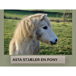 Asta stjæler en pony