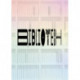 BiblioTech: ReReading the Post-digital Library
