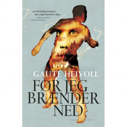 Før jeg brænder ned