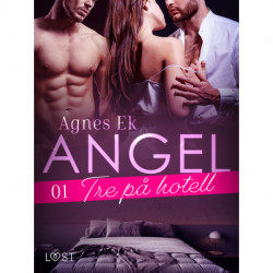 Angel 1: Tre på hotell - Erotisk novell
