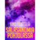 Salasanomia Pohjolassa