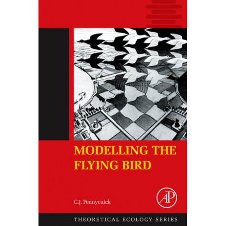 Modelling the Flying Bird