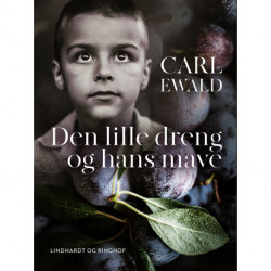 Den lille dreng og hans mave