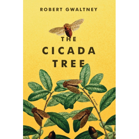 The Cicada Tree