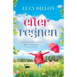 Efter regnen