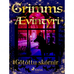 Götóttu skórnir