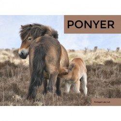 Ponyer