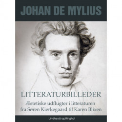 Litteraturbilleder: Æstetiske udflugter i litteraturen fra Søren Kierkegaard til Karen Blixen