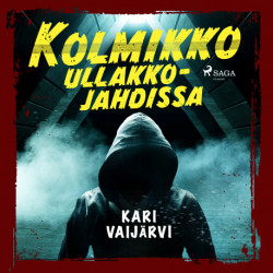 Kolmikko ullakkojahdissa