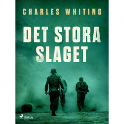 Det stora slaget