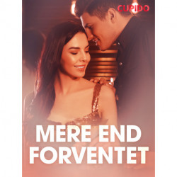 Mere end forventet – erotiske noveller