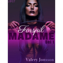 Madame 1: Forspil – erotisk novelle