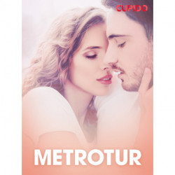 Metrotur – erotiske noveller