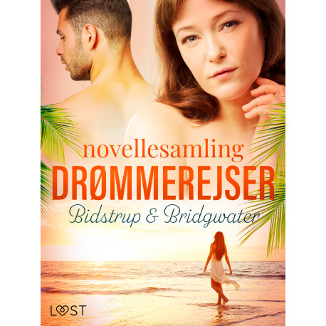 Drømmerejser – novellesamling