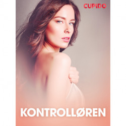 Kontrolløren – erotiske noveller