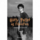 Harry Potter og filosofien: Hogwarts for mugglere