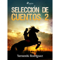Selección de cuentos 2