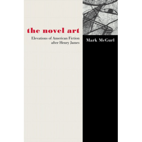 The Novel Art: Elevations of American Fiction after Henry James