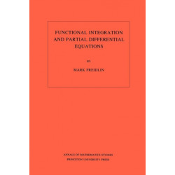 Functional Integration and Partial Differential Equations