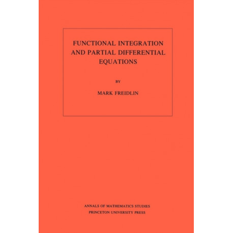 Functional Integration and Partial Differential Equations