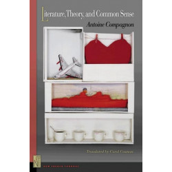 Literature, Theory, and Common Sense
