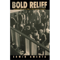 Bold Relief: Institutional Politics and the Origins of Modern American Social Policy