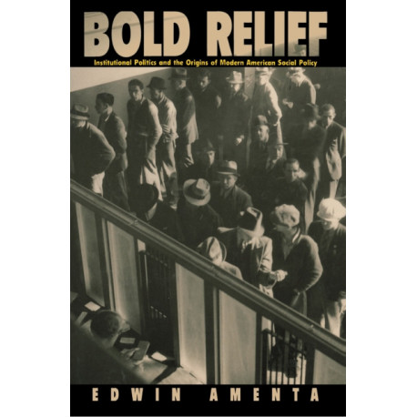 Bold Relief: Institutional Politics and the Origins of Modern American Social Policy