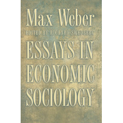 Essays in Economic Sociology
