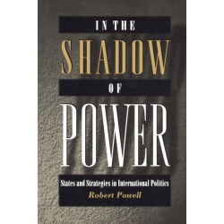 In the Shadow of Power: States and Strategies in International Politics
