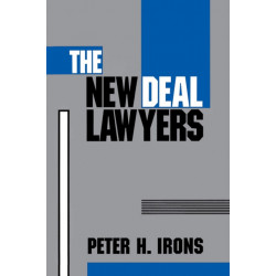 The New Deal Lawyers